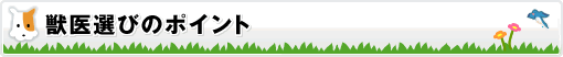獣医師選びのポイント