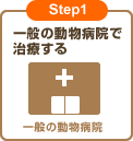 Step1 一般の動物病院で治療する