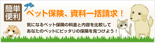 簡単便利 ペット保険、資料一括請求！ 気になるペット保険の料金と内容を比較してあなたのペットにピッタリの保険を見つけよう！