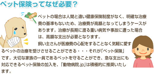 ペット保険ってなぜ必要？ペットの場合は人間と違い健康保険制度がなく、明確な治療費の基準もないため、治療費が高額となってしまうケースがあります。治療が長期に渡る重い病気や事故に遭った場合は、高額な支出が必要となります。飼い主さんが医療費の心配をすることなく気軽に愛するペットの治療を受けさせることができる・・・それが「ペット保険」です。大切な家族の一員であるペットを守ることができ、急な支出にも対応できるペット保険の加入を、「動物病院.jp」は積極的に推奨いたします。