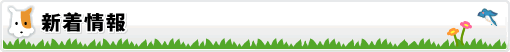 新着情報
