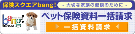 保険スクエアbang! 大切な家族の健康のために ペット保険資料一括請求